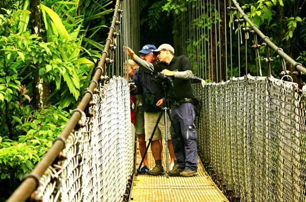 Monteverde Cloud Forest