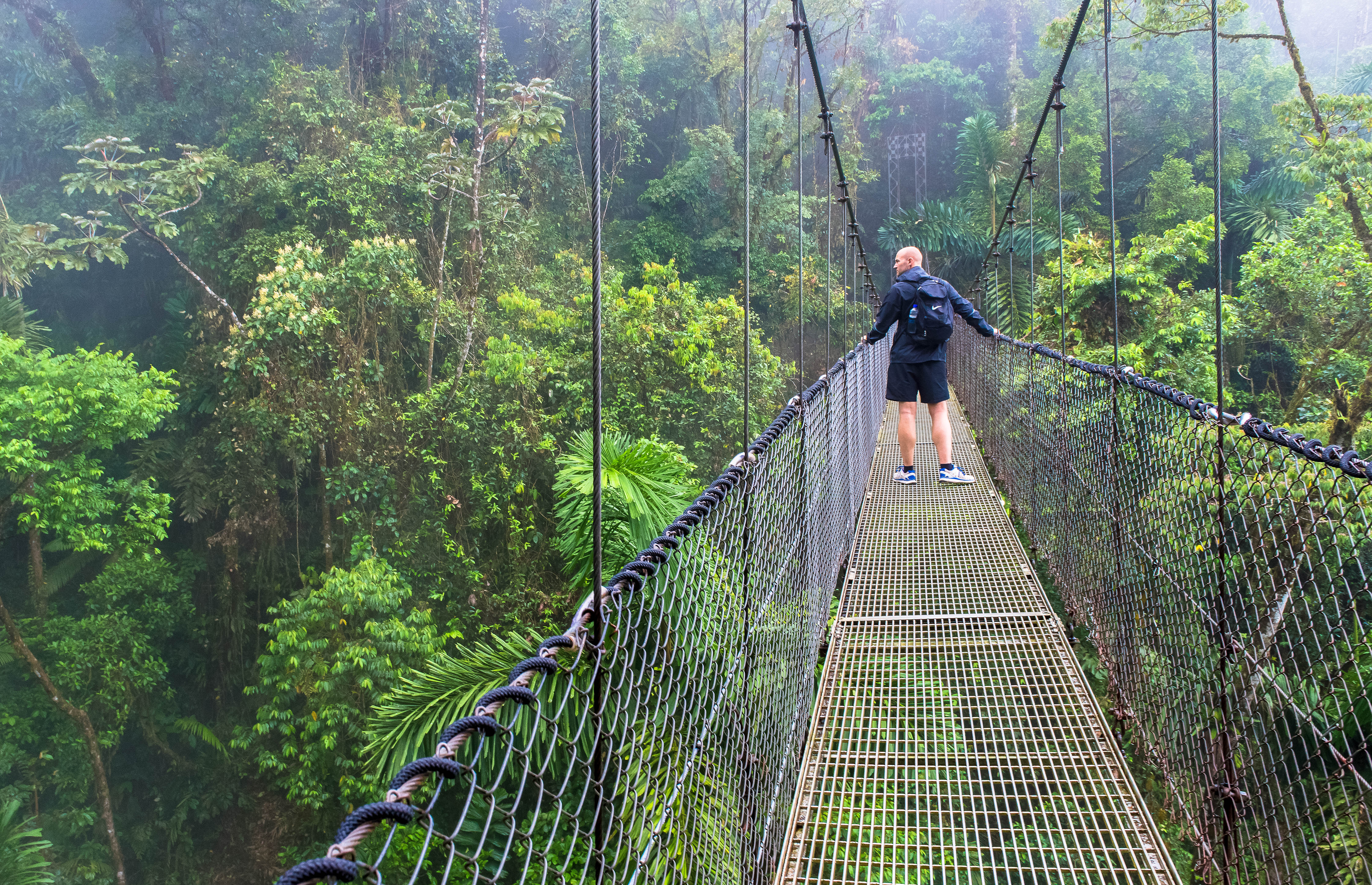 Hanging Bridges + La Fortuna Waterfall + Volcano Hike + Lunch Combo